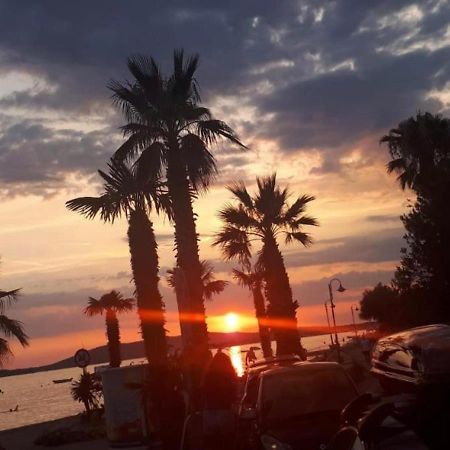Apartman Alka زابوريتش المظهر الخارجي الصورة