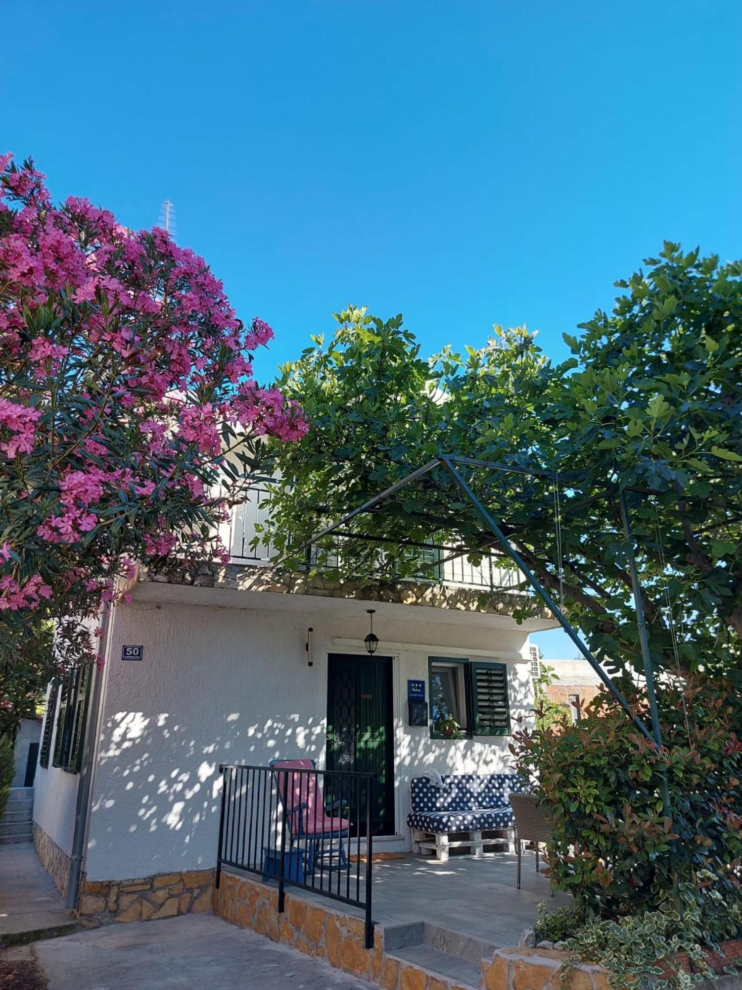 Apartman Alka زابوريتش المظهر الخارجي الصورة
